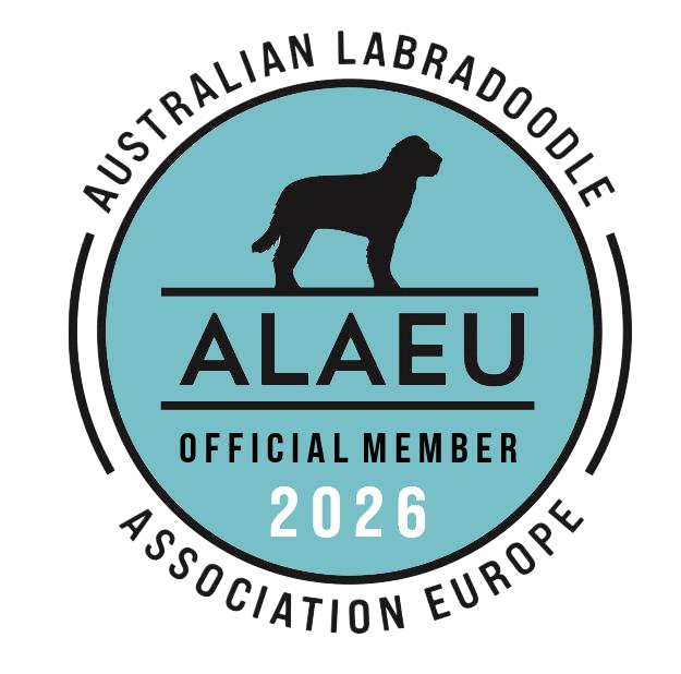 Australian Labradoodle Association Europe 2026 official member